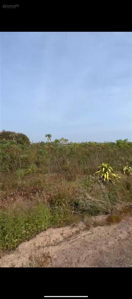 Đất đầu tư giá tốt đồng phú, bình phước tân lập đồng phú 1.319,9 m chỉ 1,4 tỷ