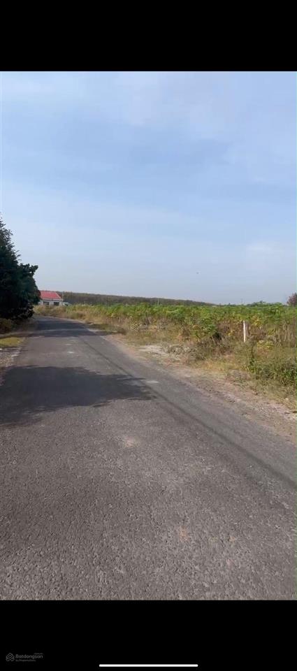 Đất đầu tư giá tốt đồng phú, bình phước tân lập đồng phú 1.319,9 m chỉ 1,4 tỷ