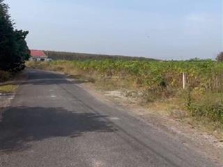 Đất đầu tư giá tốt đồng phú, bình phước tân lập đồng phú 1.319,9 m chỉ 1,4 tỷ