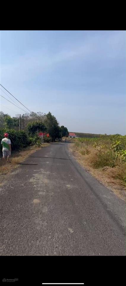 Đất đầu tư giá tốt đồng phú, bình phước tân lập đồng phú 1.319,9 m chỉ 1,4 tỷ