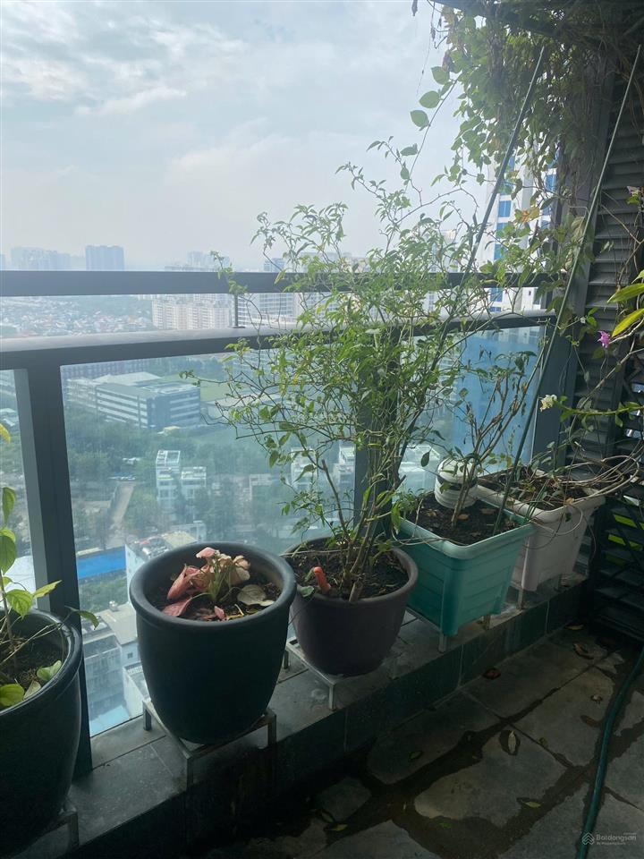 Bán căn hộ sunshine sky city tòa a2 tầng 24 dt 132m² 4pn 3wc full nội thất giá 10,75 tỷ