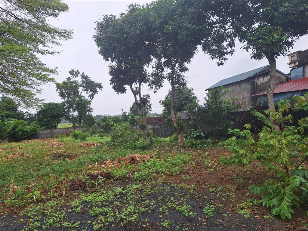 Đất nghỉ dưỡng view cánh đồng gần nhiều homestay tại cư yên, lương sơn, hòa bình