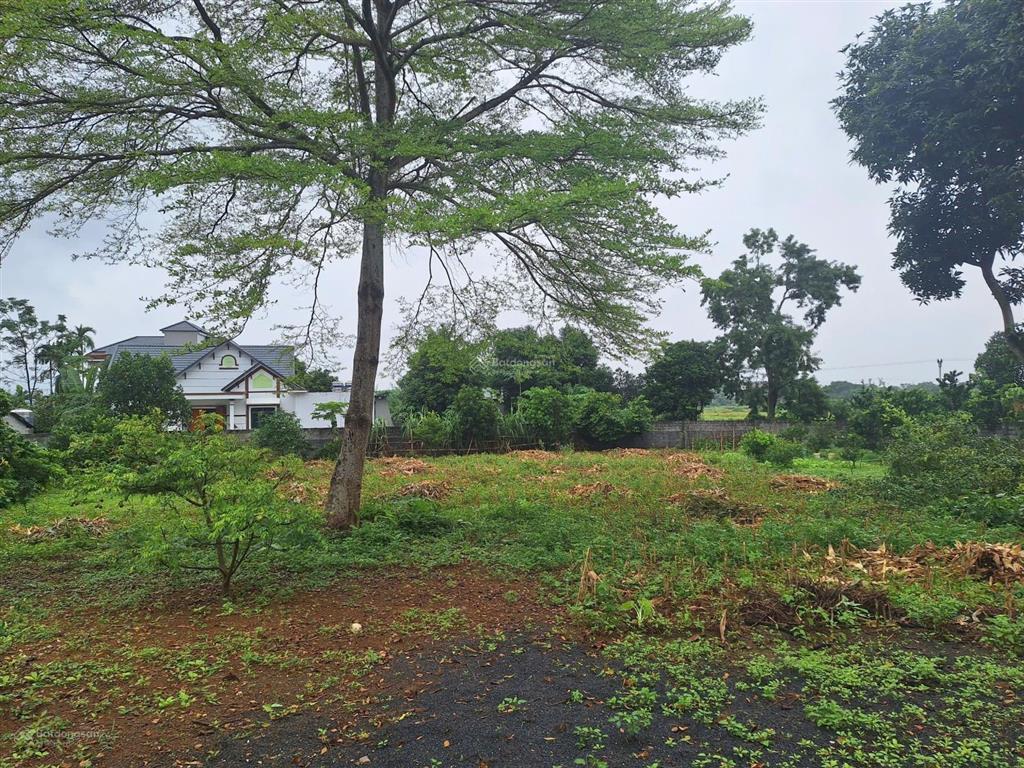 Đất nghỉ dưỡng view cánh đồng gần nhiều homestay tại cư yên, lương sơn, hòa bình