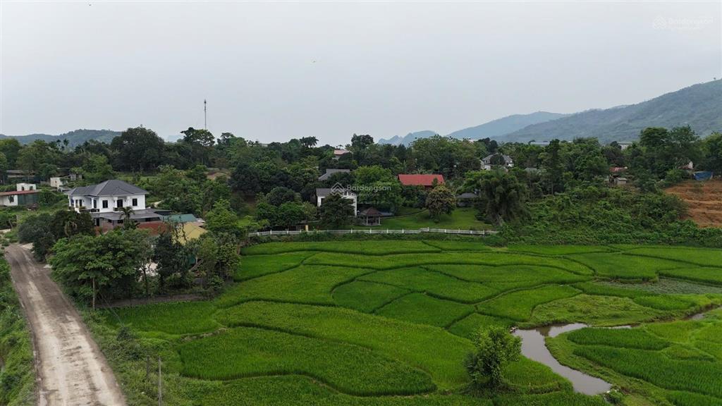 Bán 4500m2 khuôn viên nghỉ dưỡng view cánh đồng bát ngát tại lương sơn hòa bình