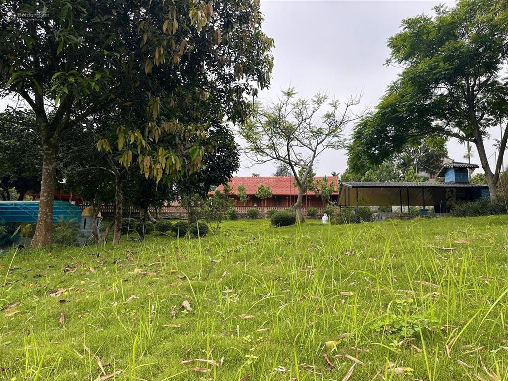 Bán 4500m2 khuôn viên nghỉ dưỡng view cánh đồng bát ngát tại lương sơn hòa bình