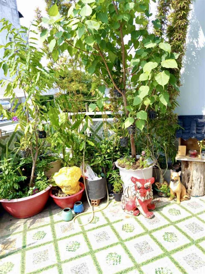 Khu phân lô đường 8m  phan huy ích  4m x 14m x 3 tầng / chỉ hơn 7 tỷ  nhà chính chủ