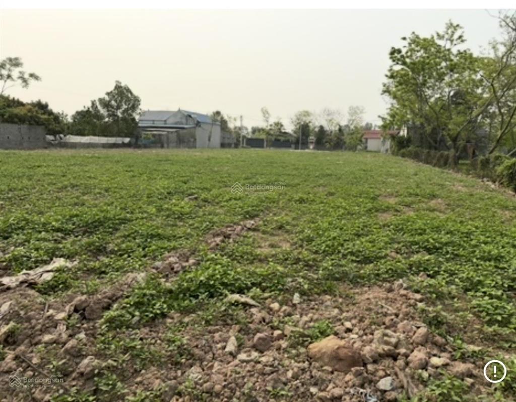 Bán đất chuyển đổi trồng cây lâu năm  dt 3000m  mt 30m, mặt đường trải nhựa  giá hơn 3triệu/m