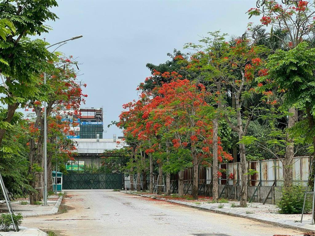 Mới ra căn liền kề jade square 116m²  35 tỷ,  0915 568 ***