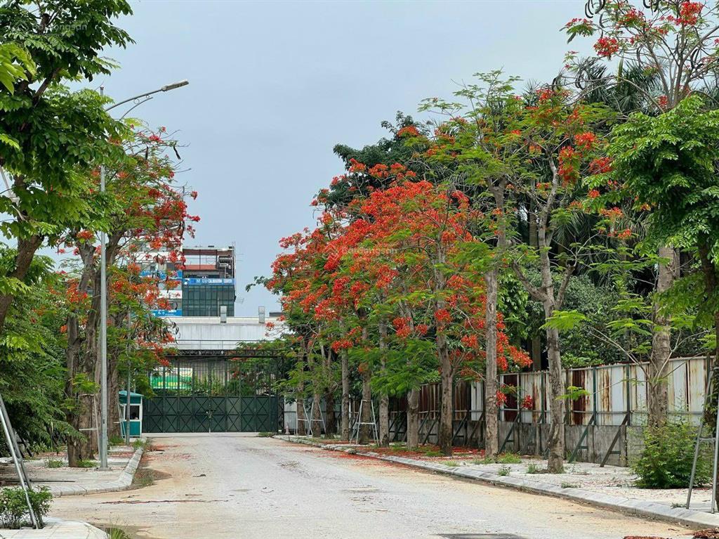 Cần bán gấp biệt thự song lập jade square ngay phạm văn đồng 180m2  41 tỷ