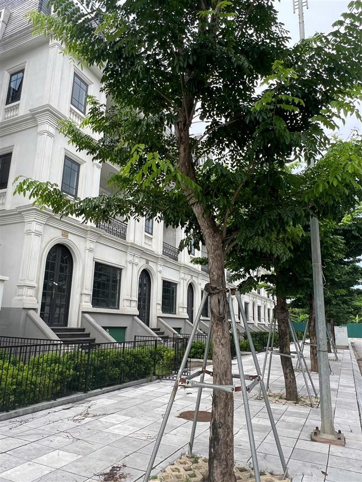 Bán suất ngoại giao căn biệt thự song lập 156m2 tại jade square phạm văn đồng
