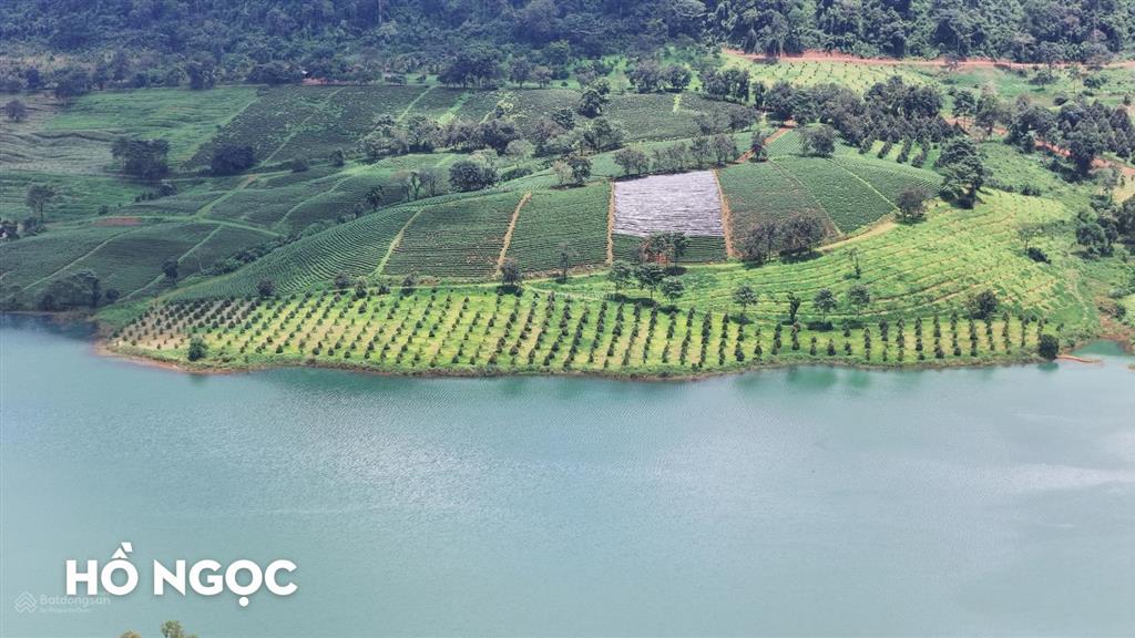 Đất view hồ ngọc bảo lộc  622.4m2 (10 x 62) có sẵn 300m thổ cư, view trực diện hồ, gần homestay