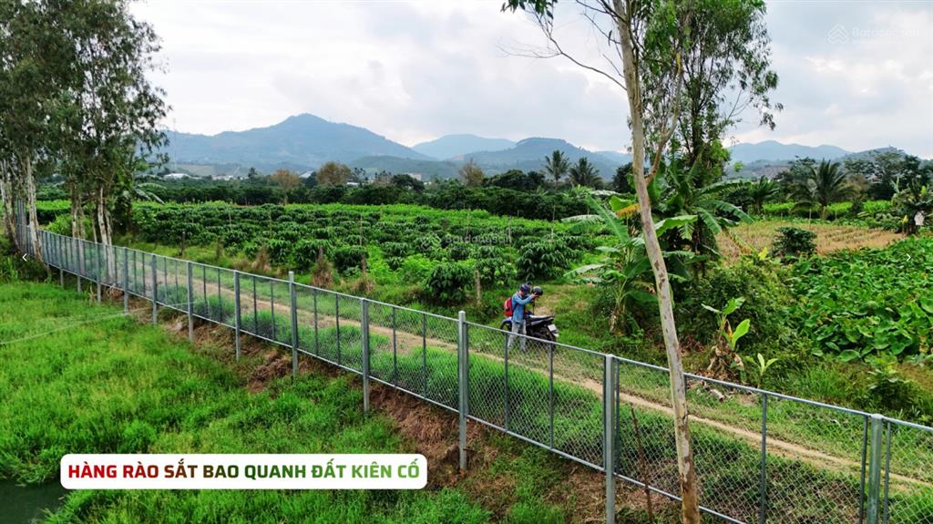 2 sào đất gần đường b'lao xê rê phường 3 bảo lộc chỉ 1.2 tỷ