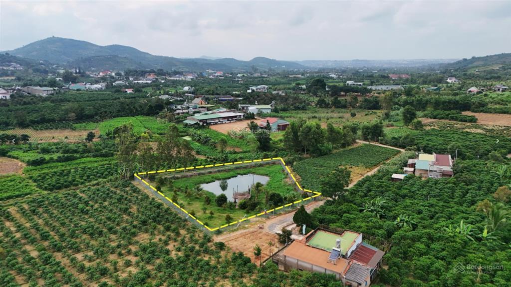 2 sào đất gần đường b'lao xê rê phường 3 bảo lộc chỉ 1.2 tỷ