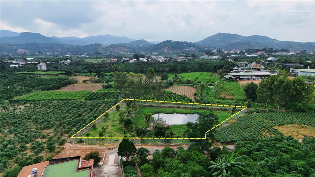 2 sào đất gần đường b'lao xê rê phường 3 bảo lộc chỉ 1.2 tỷ
