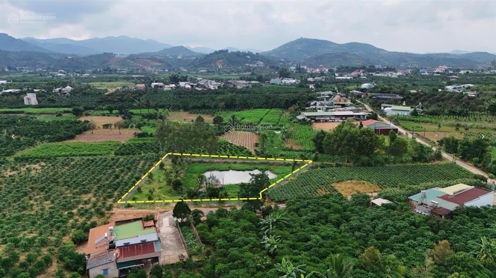 2 sào đất gần đường b'lao xê rê phường 3 bảo lộc chỉ 1.2 tỷ