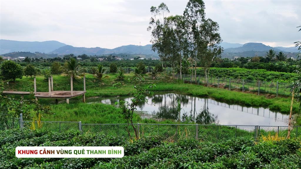 2 sào đất gần đường b'lao xê rê phường 3 bảo lộc chỉ 1.2 tỷ