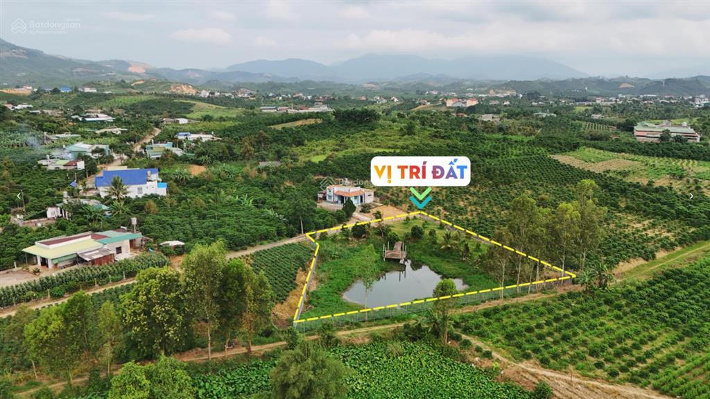 2 sào đất gần đường b'lao xê rê phường 3 bảo lộc chỉ 1.2 tỷ