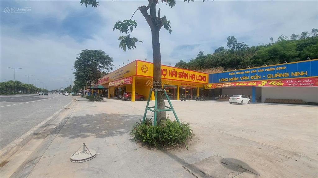 Bán 700,2m2 đất kd mặt đường 18, đối diện vin hlx, cạnh cv rừng, ga tàu cao tốc, giá chỉ 45tr/m2