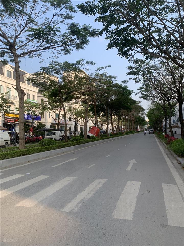 Bán gấp siêu phẩm biệt thự solasta mansion, trục kinh doanh đỉnh, 4 tầng x 170m2, giá cực tốt