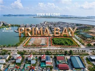 Prima bay hạ long  bim group cơ hội vàng sở hữu căn hộ biển đẳng cấp ngay vịnh di sản! chỉ 1,65 tỷ