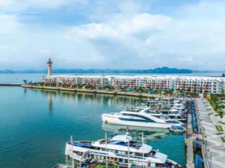 Sun porto chính thức nhận cọc ưu tiên anh/chị nhanh tay giữ suất đẹp với cọc định danh ưu tiên