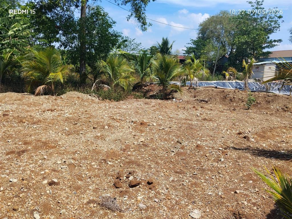 Đất trồng cây, diện tích 1737m2, mặt tiền đường nhựa 16m
