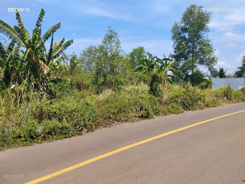 Đất trồng cây, diện tích 1737m2, mặt tiền đường nhựa 16m