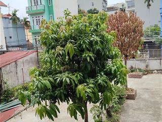 Anh hải cần bán gấp nhà thôn hoàng long, gia lâm, 78m², ngõ ô tô, gần chợ, trường cấp 1 giá 7,8 tỷ