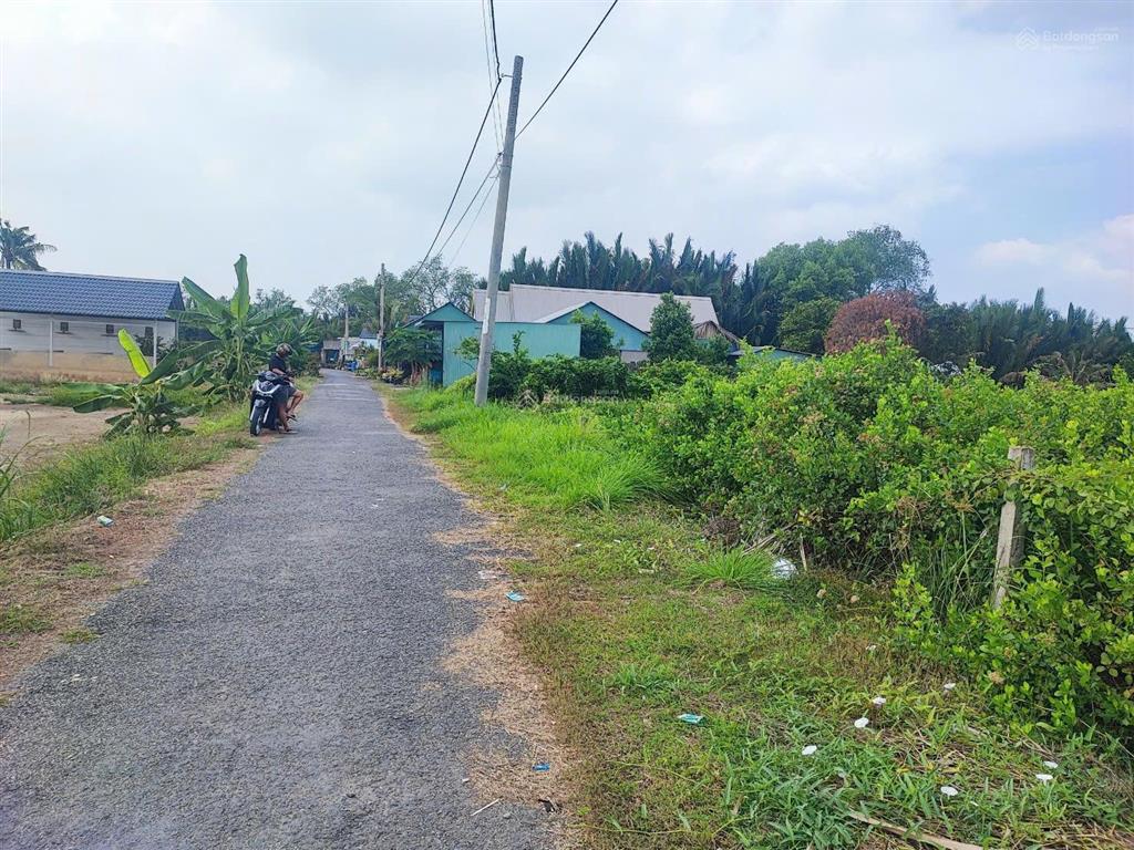 Bán gấp thổ cư, đường nhựa xe hơi, bình khánh, rẻ hơn thị trường 3 tr/m2
