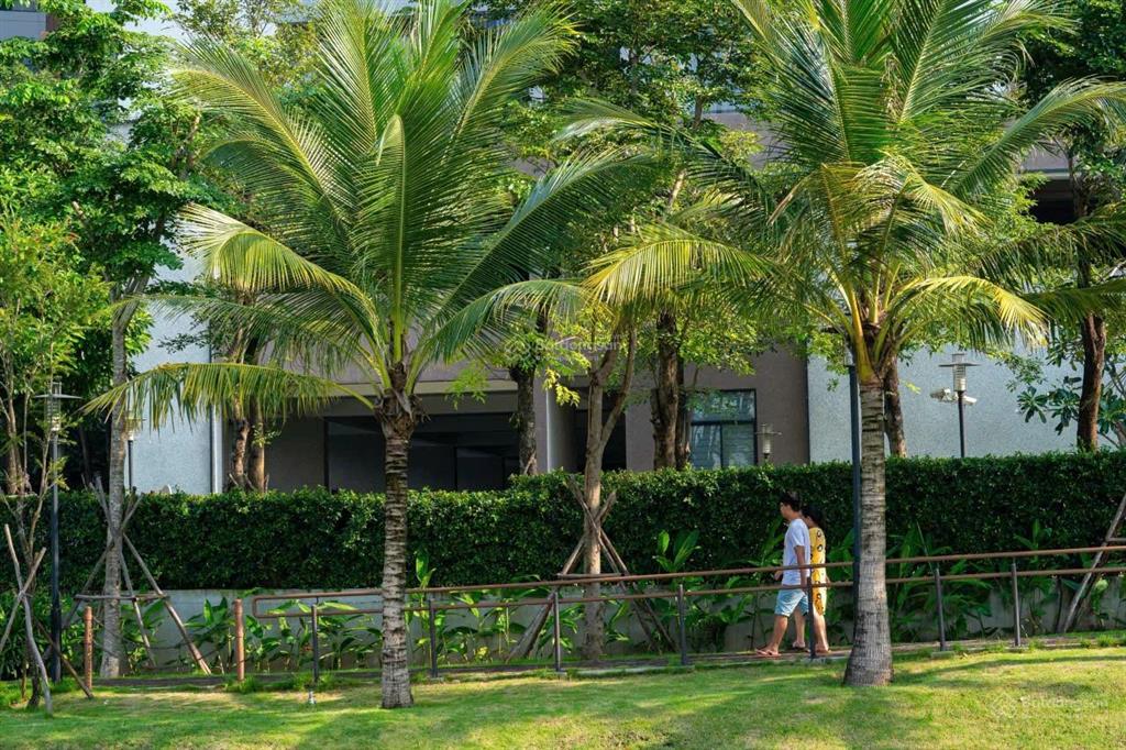 Căn hộ trellia cove 2pn1wc, giỏ hàng trực tiếp chủ đầu tư, tầng đẹp, gía tốt, ưu đãi khủng cuối năm