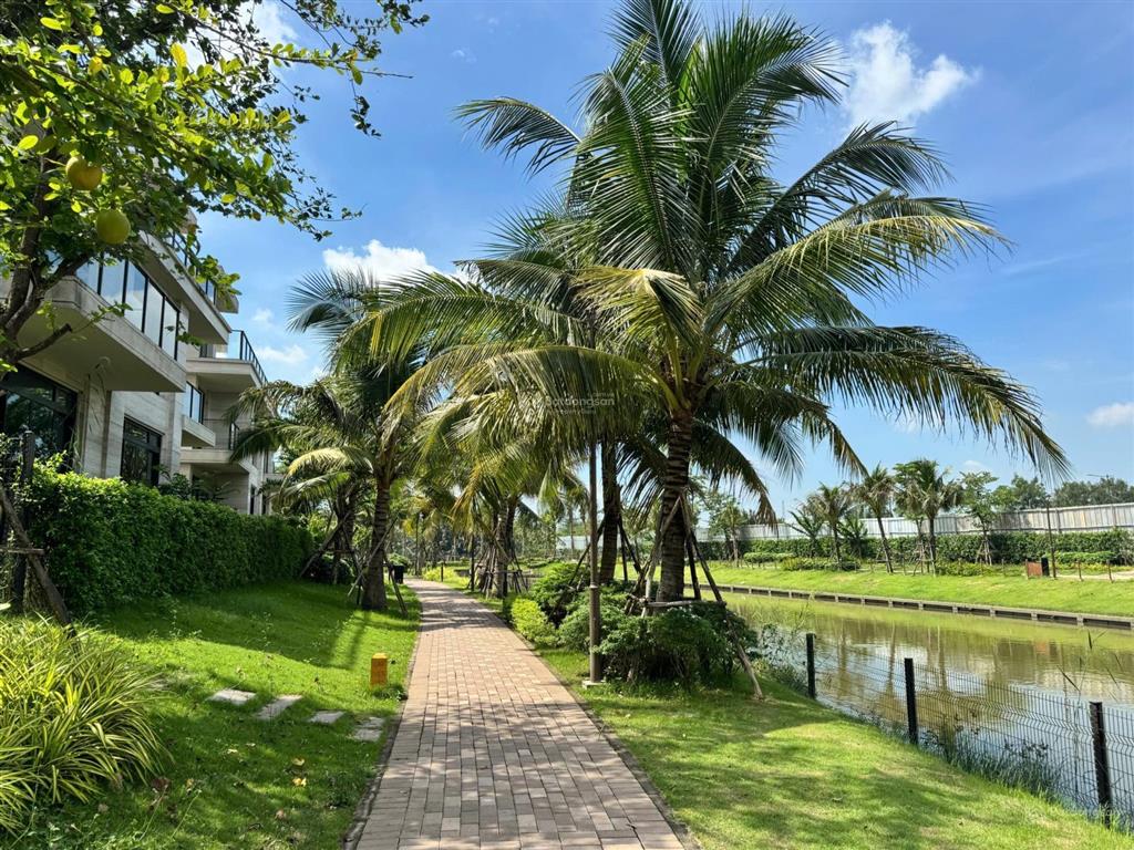 Căn hộ trellia cove trong khu mizuki đã hình thành, nhịp sống ổn định, trực tiếp chủ đầu tư