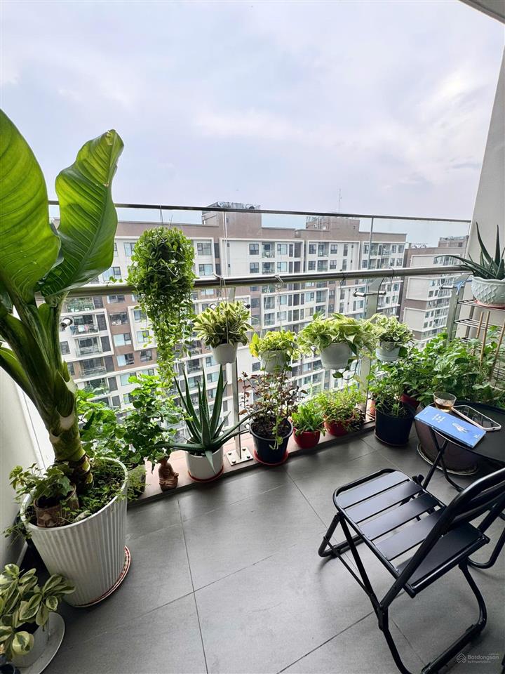 Bán căn hộ mpx 2pn1wc  cụm căn hộ riêng tư nhất mizuki park, tầng cao, sẵn hợp đồng thuê