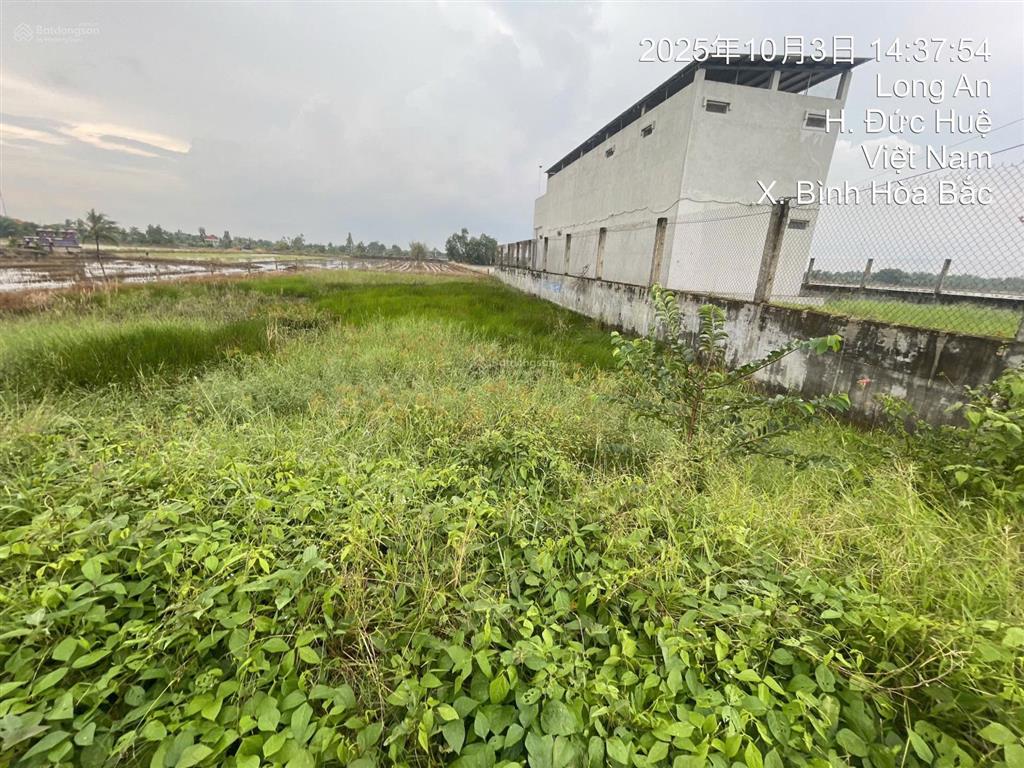 Bán đất tại đường phà trà cú, 1 tỷ 250, 210m2, mặt tiền 5m, pháp lý đầy mặt tiền 5m, pháp lý đầy đủ