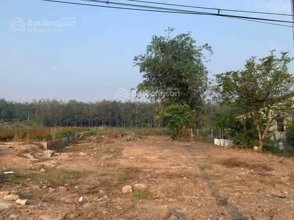 193m²/3tỷ200 mặt tiền đt741, đầu tư hôm nay, sổ hồng riêng sang tên ngay