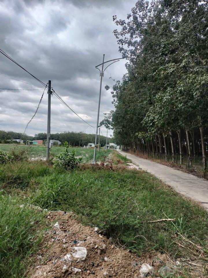 Bán đất tại xã bình mỹ, bắc tân uyên, bình dương, giá tốt chỉ với 800 triệu, 1542 m2