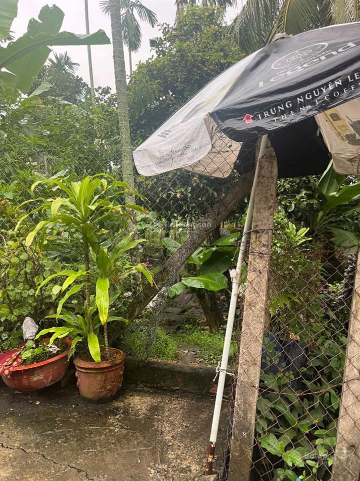 Phù hợp đầu tư lâu dài đất vườn bình mỹ củ chi gần 2.000m2 1 tỷ 200 ô tô vào tận đất