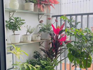 Bán căn 2n 2vs 77m2 chung cư five star kim giang, thanh xuân giá 7 tỷ 690 triệu