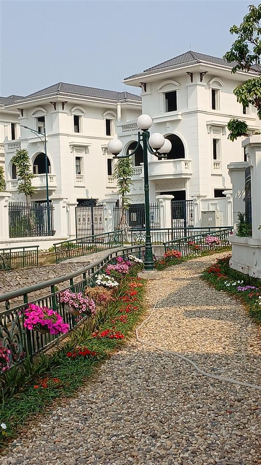 Chuyên bán biệt thự vườn cam, 32 tỷ, 200m2, 5pn, 5wc