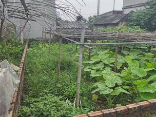 99 triệu một m2 sở hữu lô đất hoa hậu ốc đảo , đông dư, đường oto.