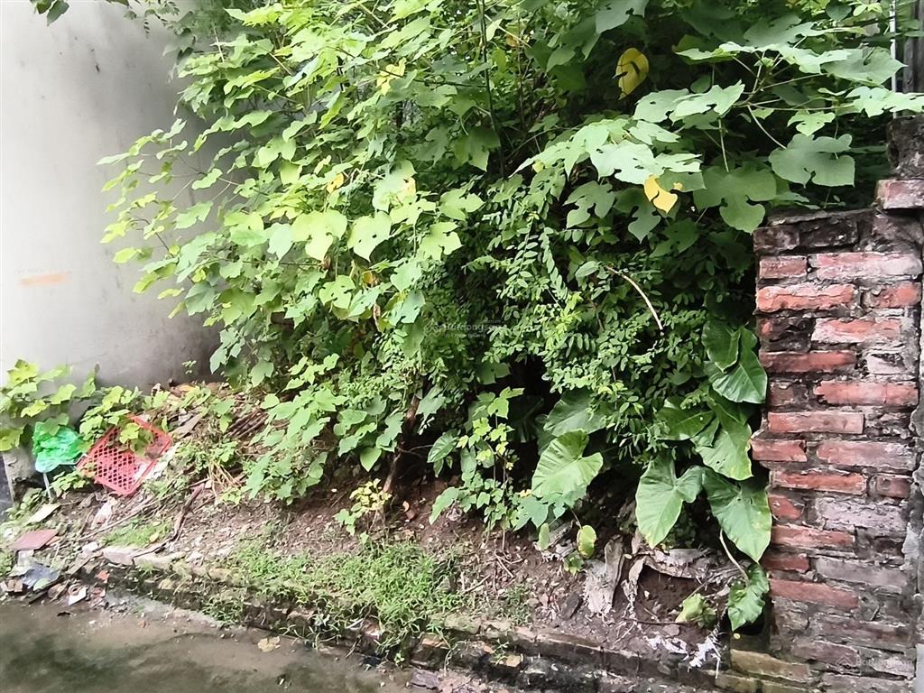 Đông dư  giá tốt  oto vào đất view hồ, thoáng mát mua xây ở quá phù hợp