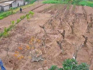 Bán đất thồ cư mặt đường hưng công, bình lục, hà nam