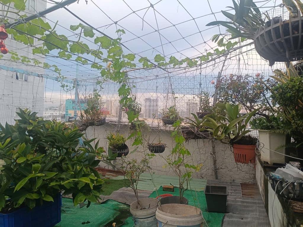 Xe hơi đỗ cửa 4 tầng  ngang 6m x 16m  lê văn lương lotte mart  chỉ 7,5 tỷ