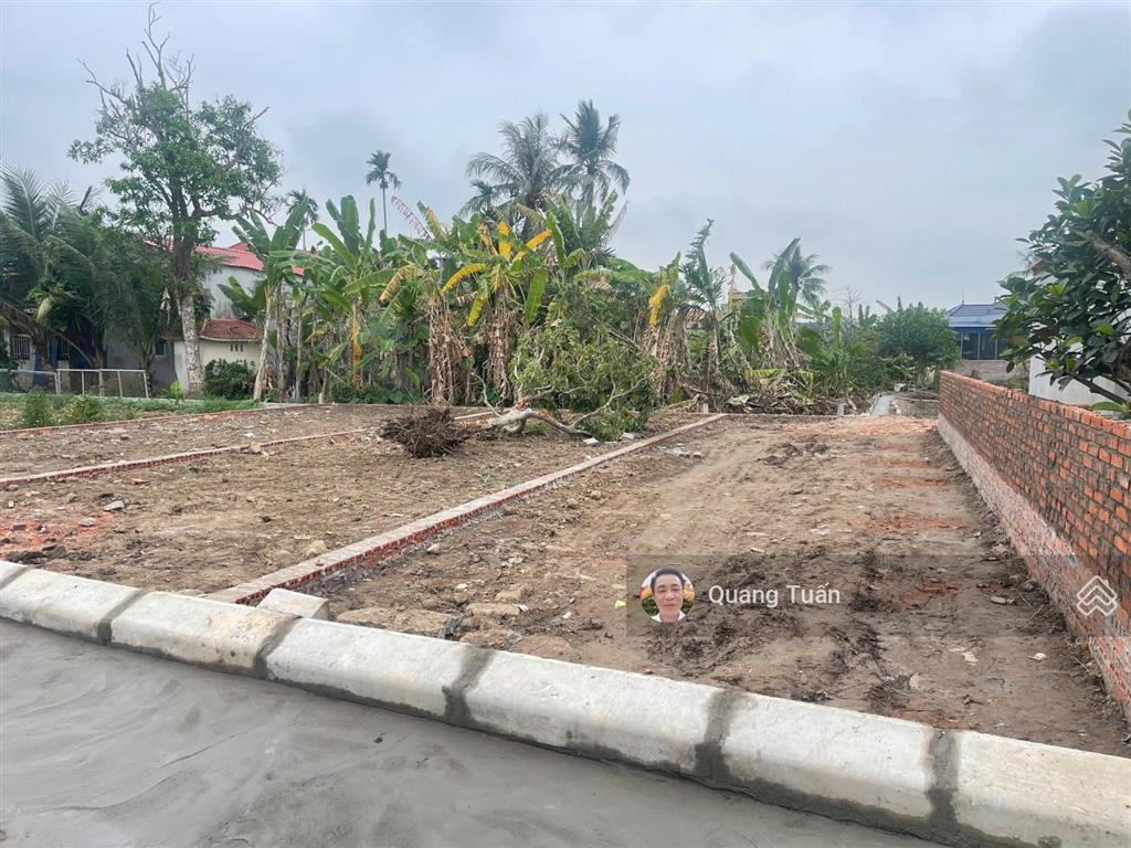 Bán đất tại mỹ đức, an lão, hải phòng giá siêu hời 1,3 tỷ, 80,6m2