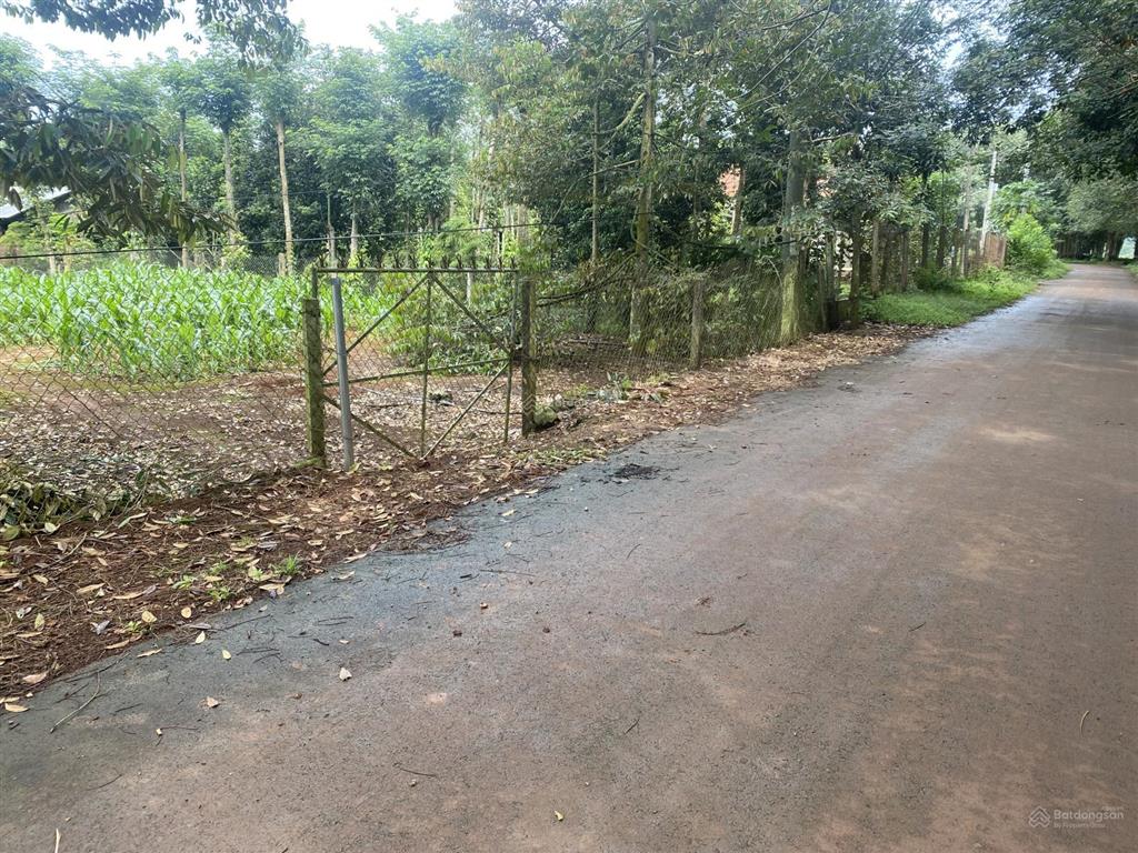Bán đất tại xã xà bang, 2,45 triệu/m2, 1695,6m2 view đẹp