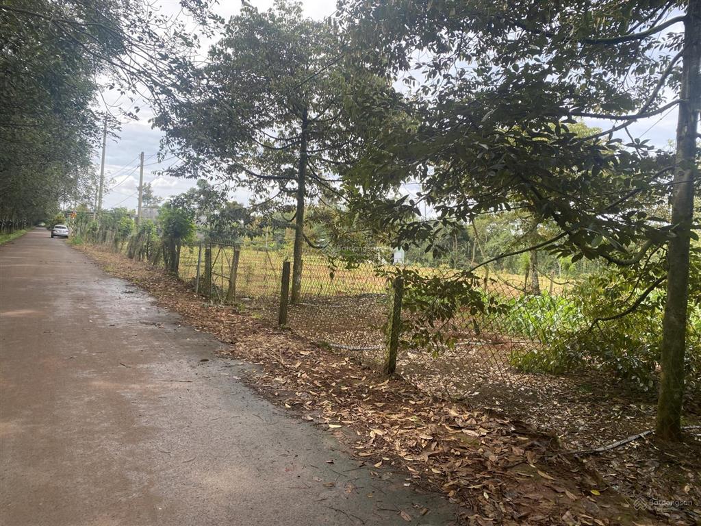 Bán đất tại xã xà bang, 2,45 triệu/m2, 1695,6m2 view đẹp
