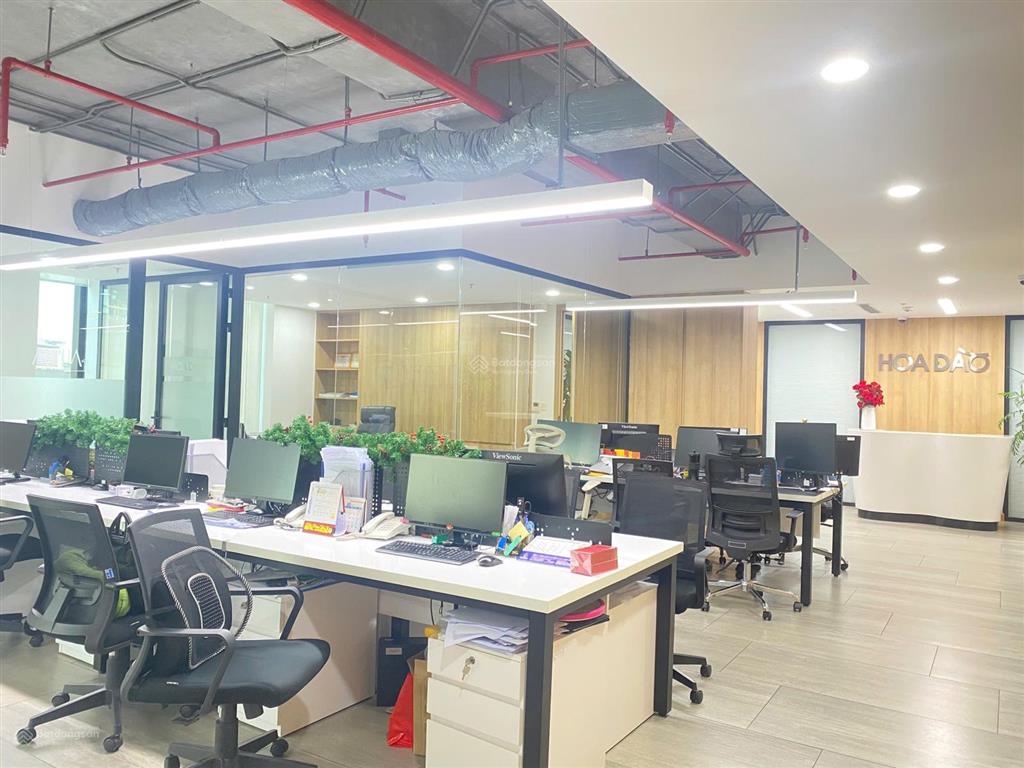 Cho thuê văn phòng 195m2 full nội thất alpha tower 151 nguyễn đình chiểu, quận 3  làm việc ngay.