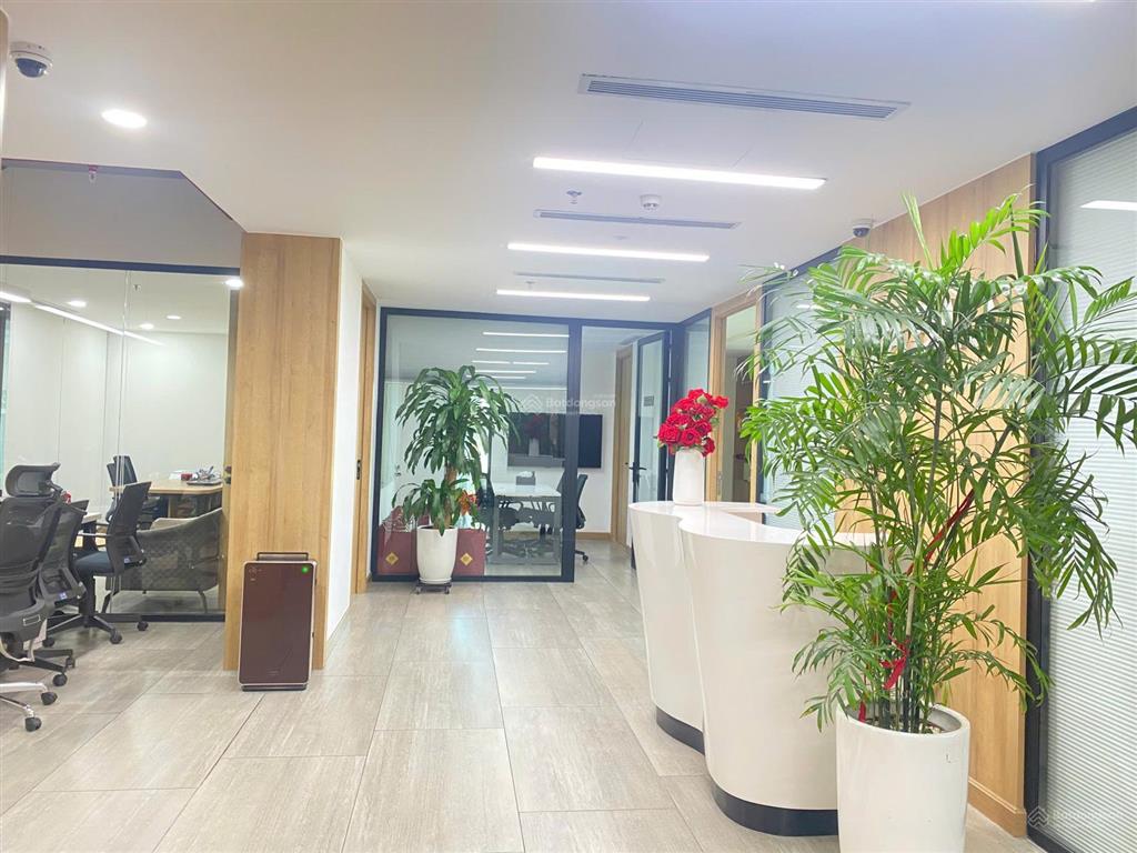 Cho thuê văn phòng 195m2 full nội thất alpha tower 151 nguyễn đình chiểu, quận 3  làm việc ngay.
