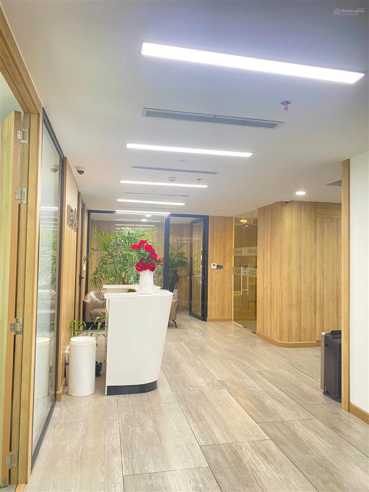 Cho thuê văn phòng 195m2 full nội thất alpha tower 151 nguyễn đình chiểu, quận 3  làm việc ngay.