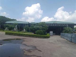 Chuyển nhượng nhà máy sản xuất ngói xi măng  đầy đủ pháp lý, máy móc đồng bộ, đầu ra ổn định