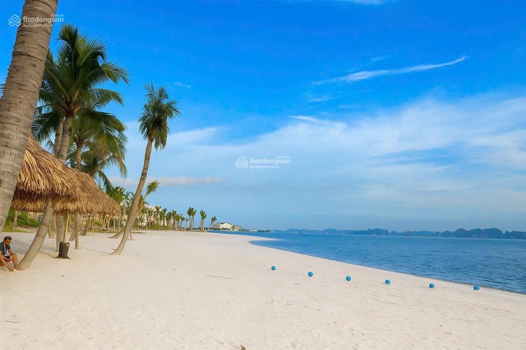Bán gấp condotel aria bay tower, 2,3 tỷ, 30,8m2, view đẹp tại hạ long